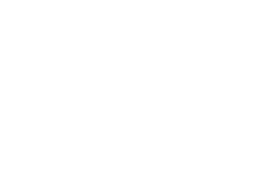 Gametion